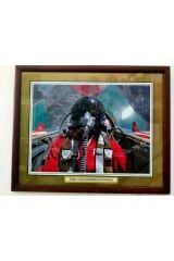 14 Türk yıldızı imzalı tablo 52*42 cm