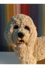 EL Yapımı Köpek Biblo