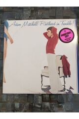 1979 Amerikan Wb Basım Adam Mitchell 33 Lp